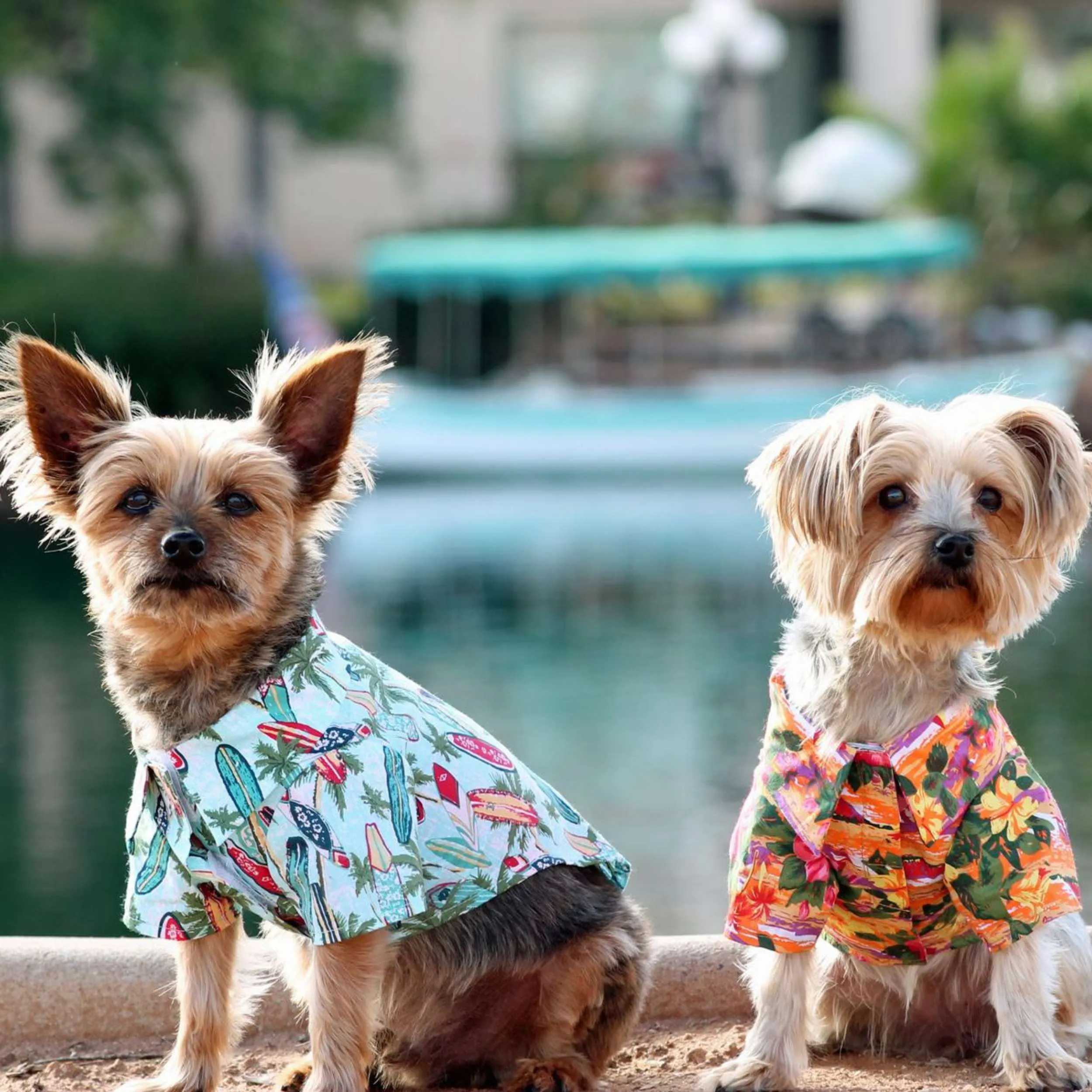 Hawaiian Camp Shirt | Sunset Hibiscus